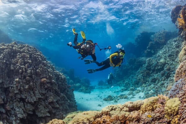 Curso de buceo especialización en Barcelona