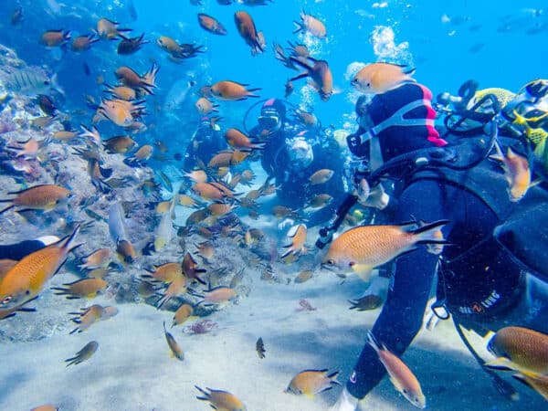 Curso de Soporte Vital Básico para Buceo en Barcelona